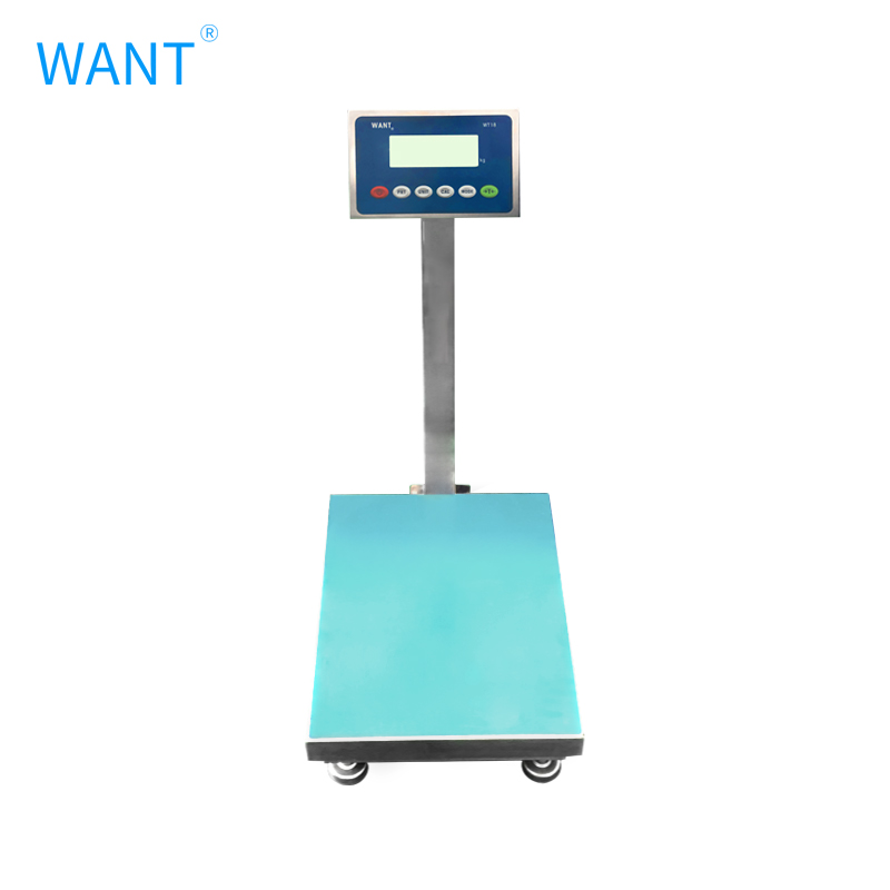 WT18-L 300kg 10g desktop platform scale