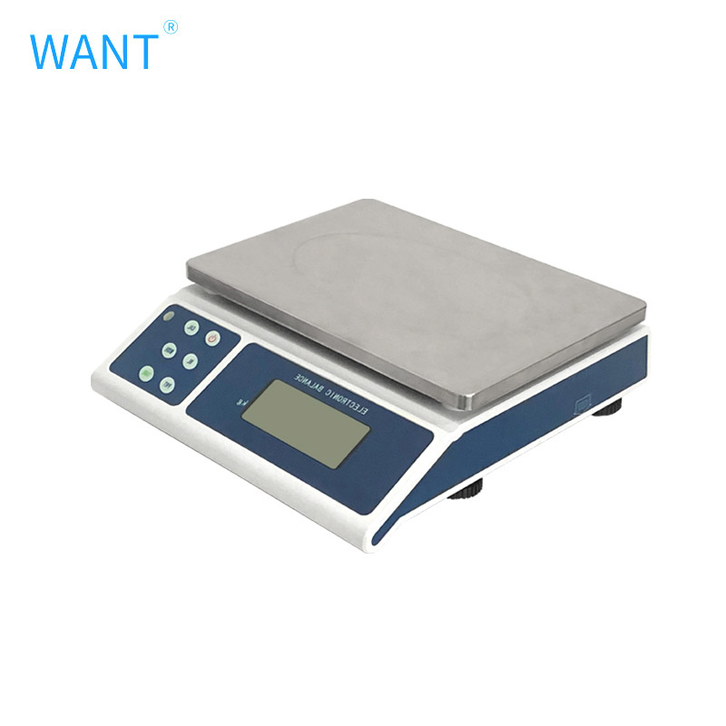 WANT WT-Y&YC 0.1g Electronic scale